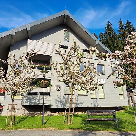 Wellness Apartment Josefina - Free Grotta Spa Wellness Harrachov Luaran gambar