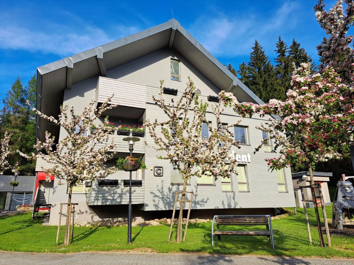 Wellness Apartment Josefina - Free Grotta Spa Wellness Harrachov Luaran gambar