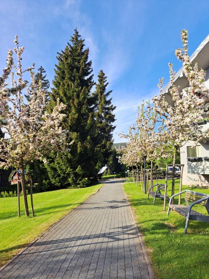 Wellness Apartment Josefina - Free Grotta Spa Wellness Harrachov Luaran gambar
